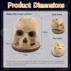 Skull Knife Holder for Kitchen,A Skeleton Knife Stand Doubling as Horror - Themed Kitchen Storage Head Rack. Ideal for Scary Party Decor, 15CM/5.9IN
